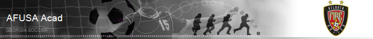 Georgia Soccer banner